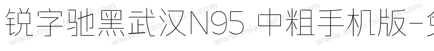 锐字驰黑武汉N95 中粗手机版字体转换